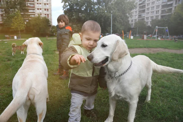 Маленький хлопчик любить свого собаку — стокове фото