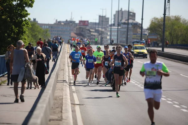 Участники 31-го международного Белградского марафона пересекли Бранковский мост через реку Сава — стоковое фото