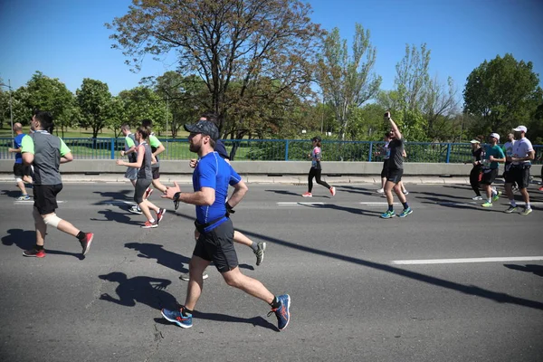 Konkurrenter till 31 internationella Belgrad Marathon loppet kör på gata — Stockfoto