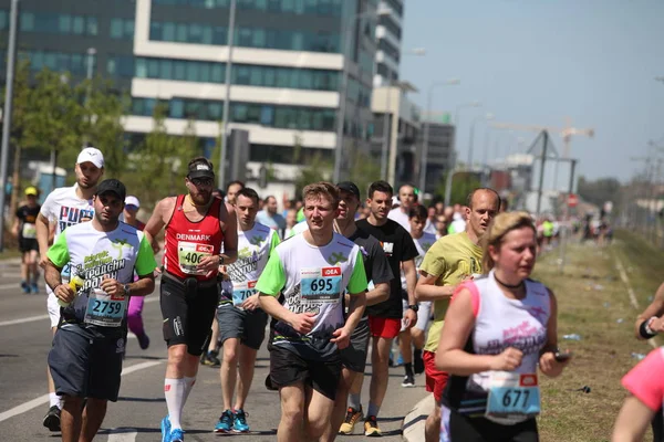 Konkurentów 31 międzynarodowych Belgradzie maratończyk uruchomić na ulicy miasta — Zdjęcie stockowe