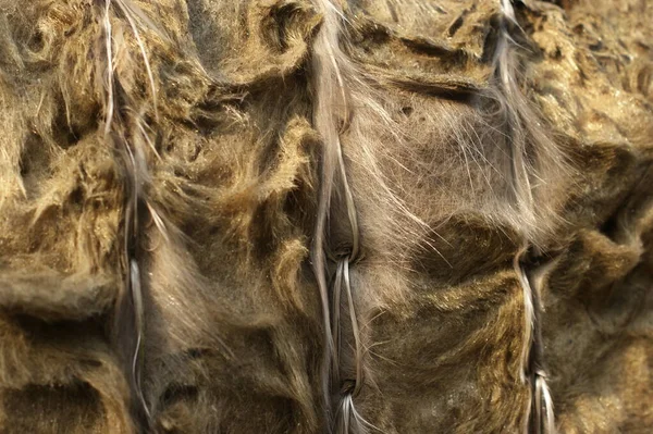 Lã mineral ou fibra mineral, algodão mineral, fibra mineral — Fotografia de Stock