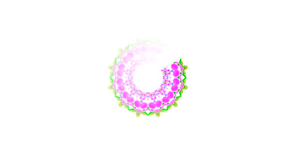 Simples Colorido Preloader Com Mandala Com Fundo Branco Animação Pré — Vídeo de Stock