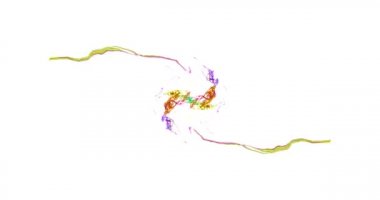 Konserler için hipnotik kaleydoskop görsel döngüler