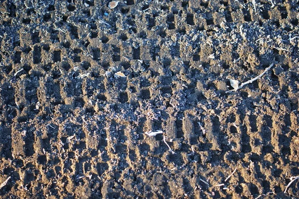 Traces Sports Bikes Hoarfrost Covered Ground Tracks Tires Mountain Bike — Stock Photo, Image