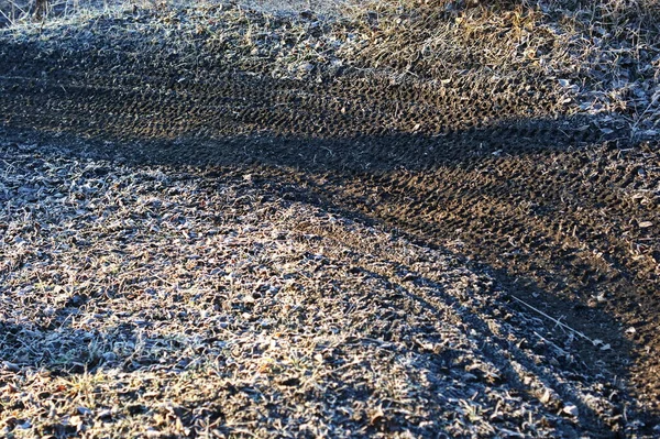 Hoarfrost kaplı zeminde spor bisikleti izleri var. Yumuşak nemli çamurda bir dağ bisikletinin tekerleklerinden izler..