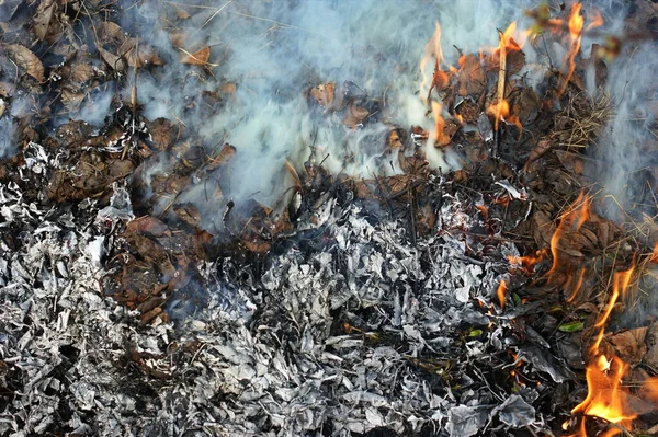 Loňské Listí Suchá Tráva Jsou Spáleny Hranici Hodně Bílého Kouře — Stock fotografie