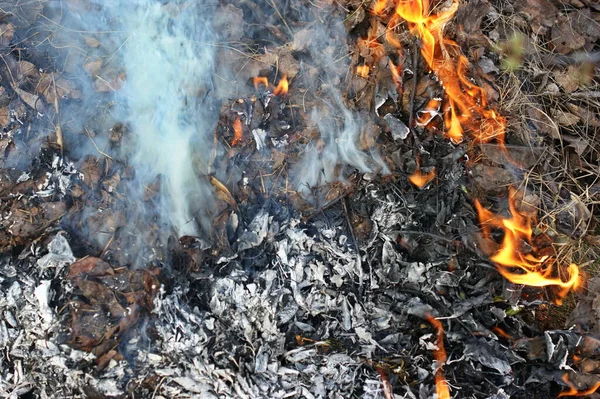 Les Feuilles Herbe Sèche Dernier Sont Brûlées Sur Bûcher Beaucoup — Photo