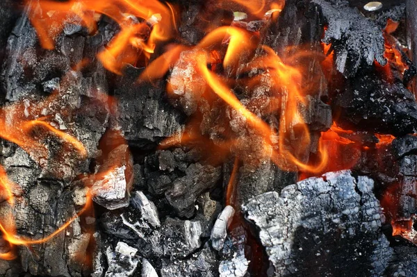 Lagerfeuer Orangefarbene Flamme Eines Feuers Lagerfeuer Auf Dem Grill Mit — Stockfoto