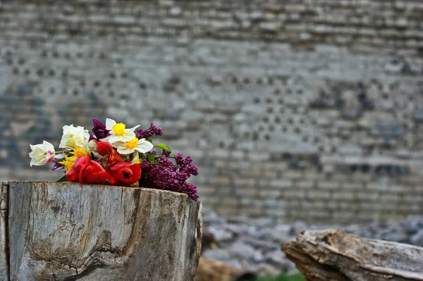 Ramo Flores Primavera Sobre Fondo Ruinas Flores Multicolores Voluntad Pared — Foto de Stock