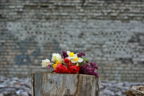 Ramo Flores Primavera Sobre Fondo Ruinas Flores Multicolores Voluntad Pared — Foto de Stock