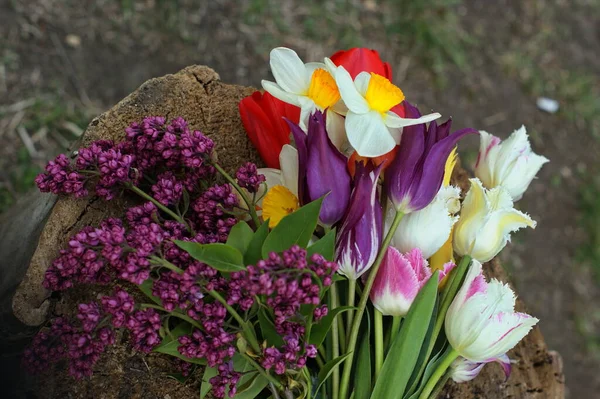 Ramo Flores Primavera Colores Tulipanes Rojos Blancos Amarillos Morados Narcisos — Foto de Stock