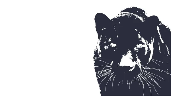 Panther Går Från Mörkret Vektor Logotyp Design Vit Bakgrund Bild — Stock vektor