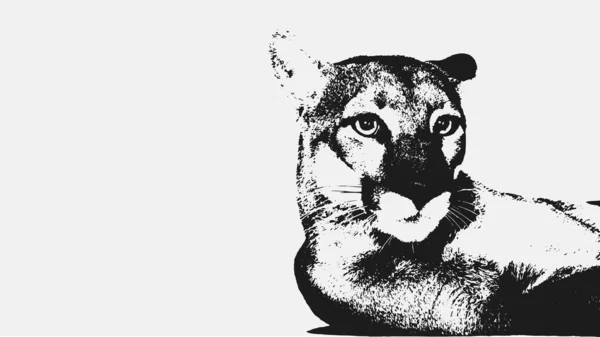 ライオンの暗闇から歩いてください ベクトルのロゴデザイン白い背景画像上で — ストックベクタ