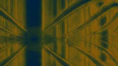 Pürüzsüz renk geçişleriyle soyut bulanık arkaplan taşınıyor.