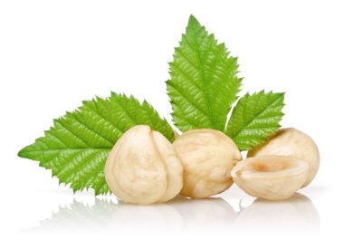 Yeşil yapraklı bir grup fındık izole