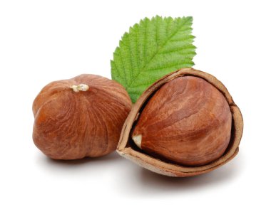 Yeşil yapraklı bir grup fındık.