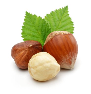 Yeşil yapraklı bir grup fındık izole