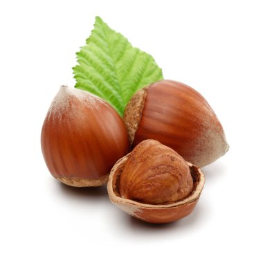 Yeşil yapraklı bir grup fındık.