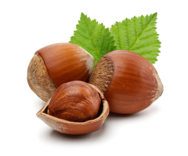 Изолированная группа лесных орехов с зелеными листьями
