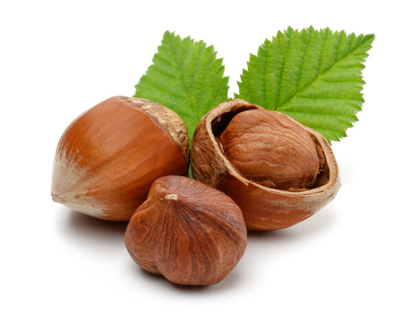 Group of hazelnuts with green leaves isolated