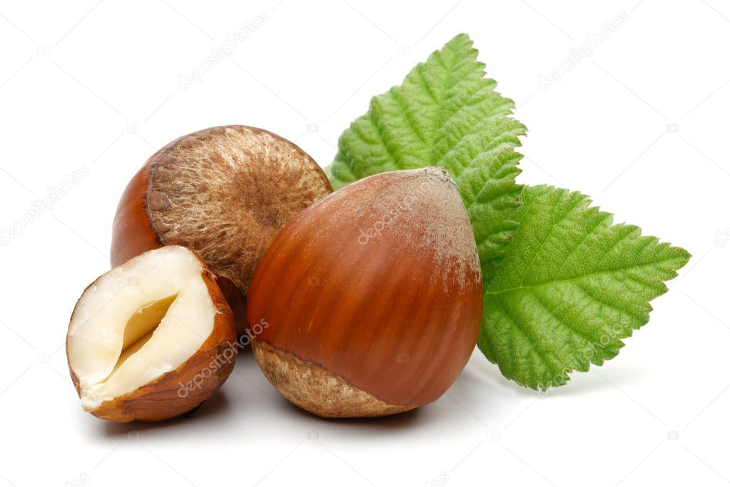 Group of hazelnuts with green leaves isolated