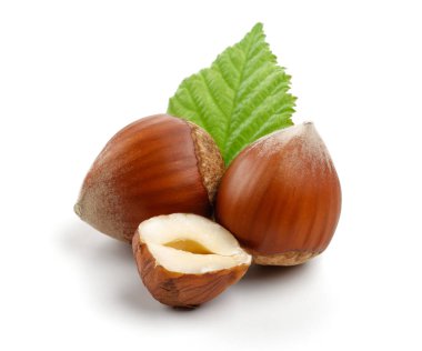 fındık ile izole yaprak yeşil