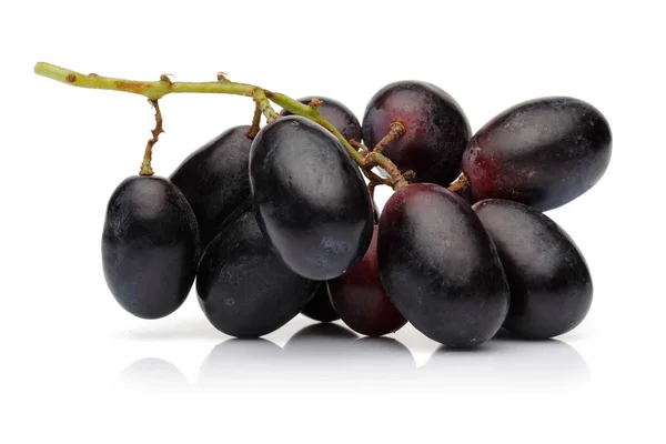 Fresh black grape isolated on white — Stock Photo, Image