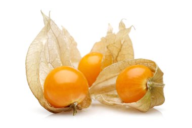 Physalis meyve veya altın Berry izole