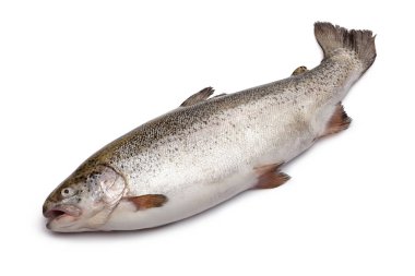 Beyaz üzerine izole edilmiş taze somon balığı.