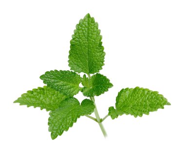 Demet limon merhemi veya melissa bitki izole