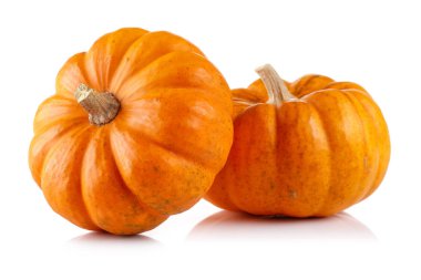 Two mini pumpkin isolated on white clipart