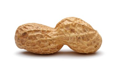 Fıstık beyaz arkaplanda izole edildi, makro çekim