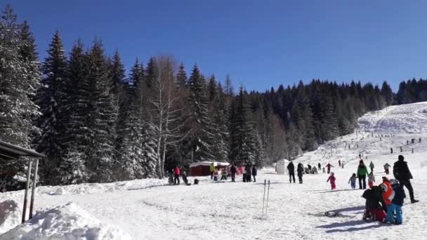 索非亚 保加利亚 2018年1月25日 孩子们正在学习如何在 Vitosha 山滑雪坡 Vetrovala — 图库视频影像