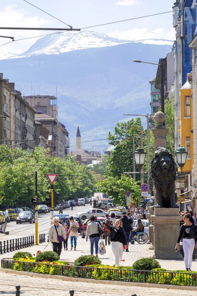 Sofia Bulgaristan aslanlar Köprüsü