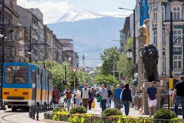 Sofia Bulgaristan aslanlar köprü tramvay