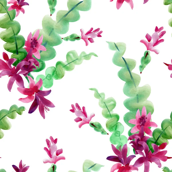 Watercolor Blooming Christmas Cactus Seamless Pattern, Thanksgiv — Stock Photo, Image