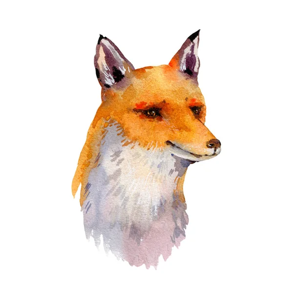 Watercolor floresta raposa cartão de saudação, ilustração natural — Fotografia de Stock