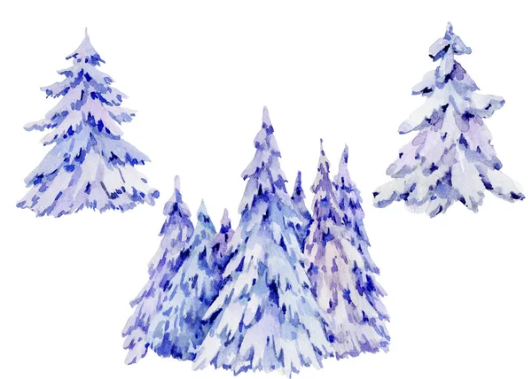 Akvarell természetes téli erdő gyűjtemény. Havas kúp — Stock Fotó