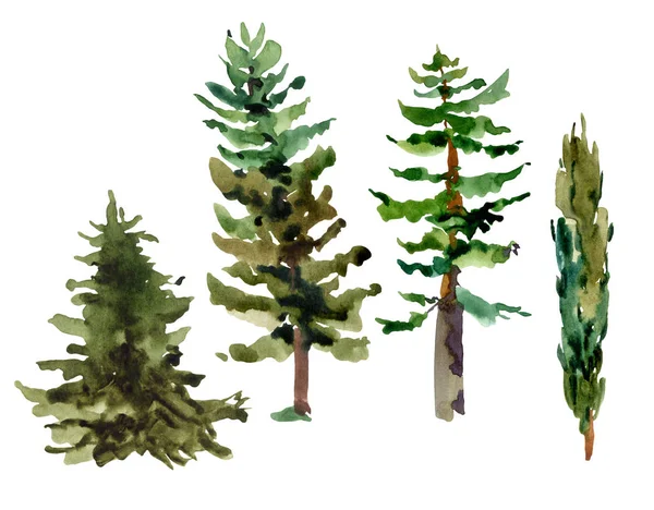 Akvarell természetes erdő készlet evegreen fák — Stock Fotó