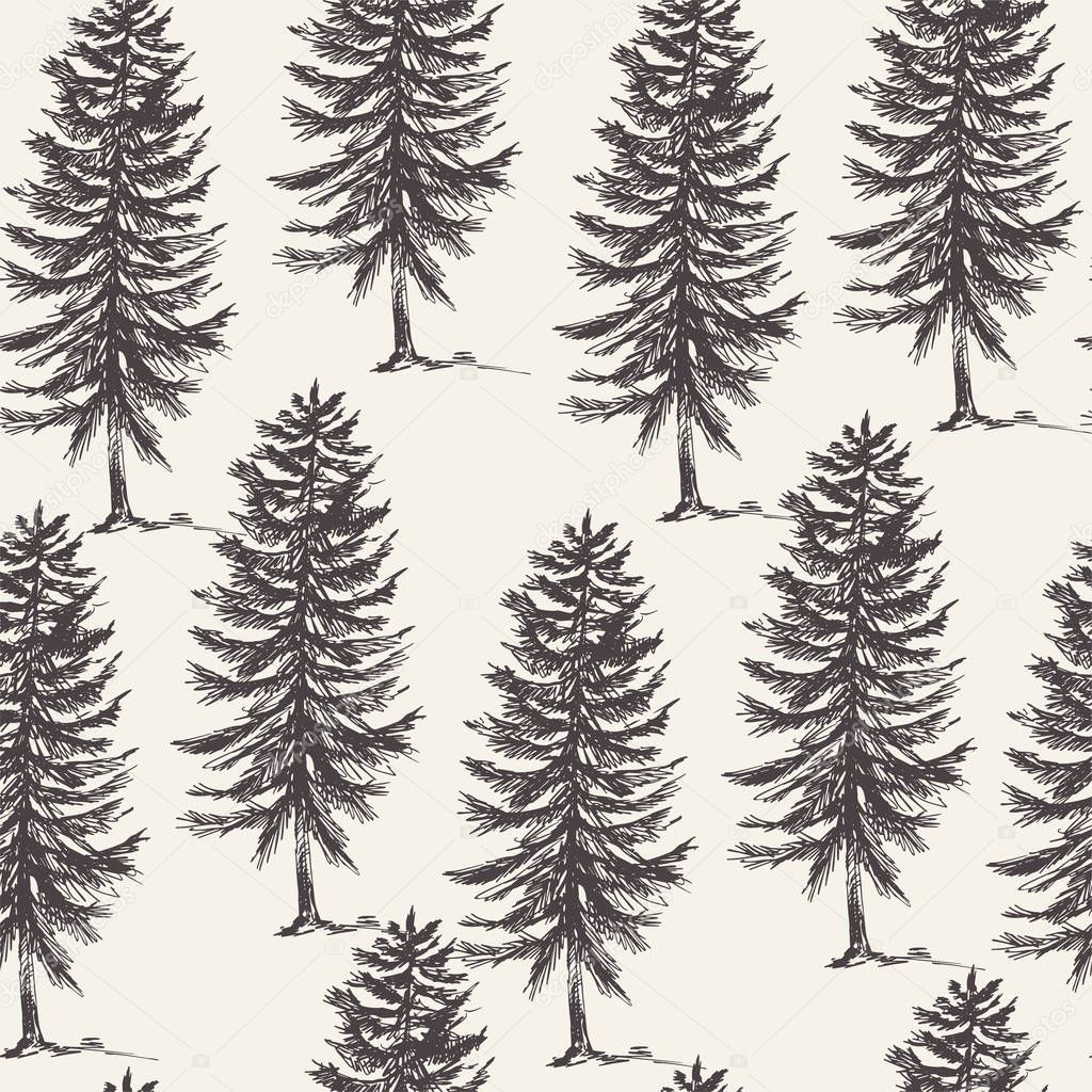 Vector natural forest seamless pattern of evegreen trees