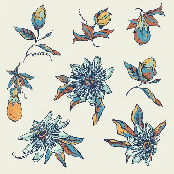 Vintage blue floral natural collection. Passiflora greeting card — 스톡 벡터