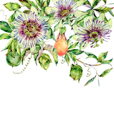 Suluboya Passiflora tebrik kartı, çiçekler, yapraklar. Vintage fl