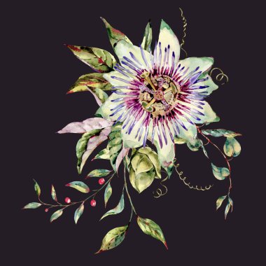 Suluboya Passiflora tebrik kartı, çiçekler, yapraklar. Vintage fl