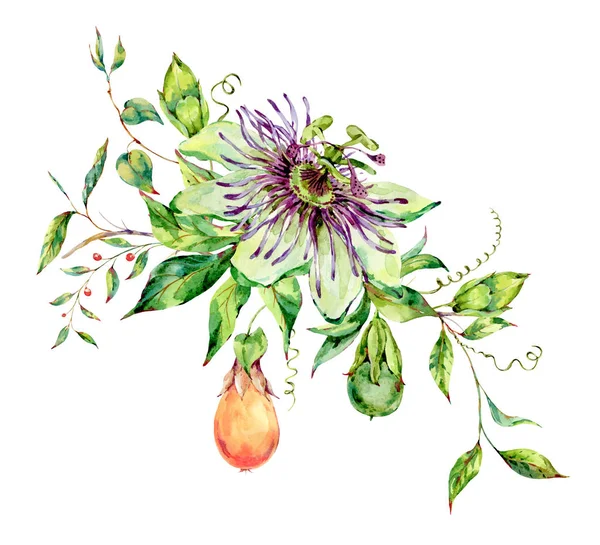 Aquarela Passiflora cartão de saudação, flores, folhas. Vintage fl — Fotografia de Stock