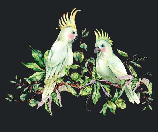 Watercolor pair of white parrot summer greeting card — Stock Photo, Image