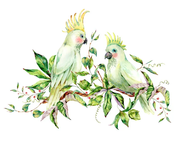 Watercolor pair of white parrot summer greeting card — Stock Photo, Image