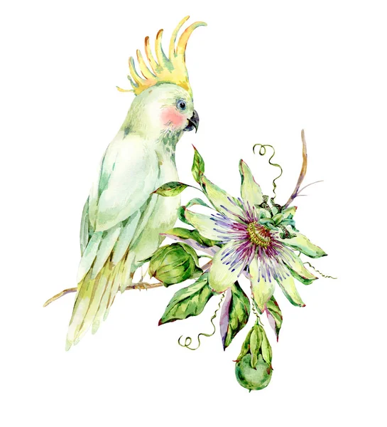 Aquarel Passiflora en witte papegaai wenskaart — Stockfoto