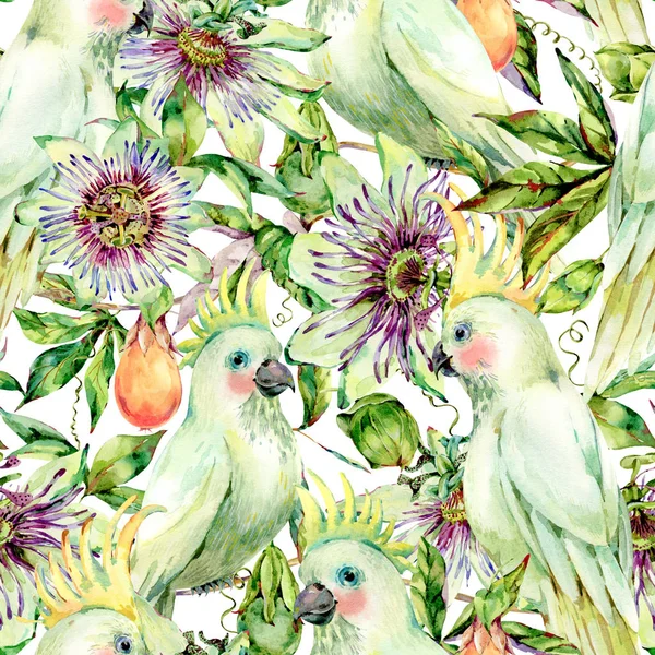 Acquerello Passiflora e bianco pappagallo modello senza soluzione di continuità — Foto Stock