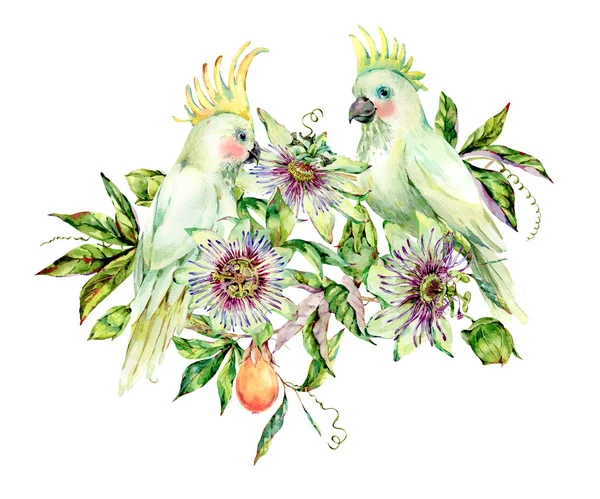 Watercolor Passiflora and white parrot greeting card, flowers, l — Stock Photo, Image