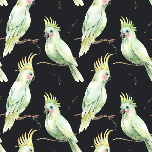 Акварельний білий папуга безшовний візерунок. Вінтажна квіткова текстура — стокове фото